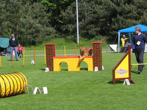 001-Aller-Leine_22_05_2004_Theo Viadukt