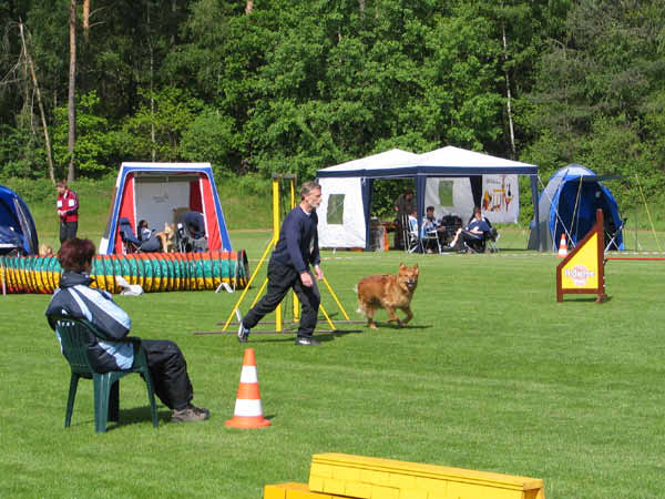 004-Aller-Leine_22_05_2004_Theo Parcours