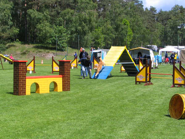 008-Aller-Leine_22_05_2004_9Ginger Wand