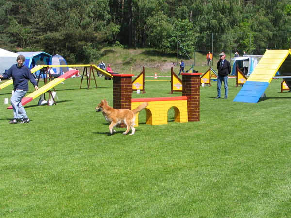 009-Aller-Leine_22_05_2004_Ginger Viadukt