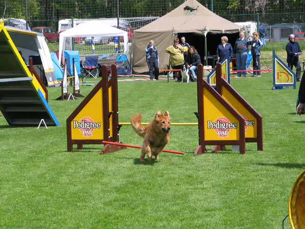 010-Aller-Leine_22_05_2004_Theo Hürde