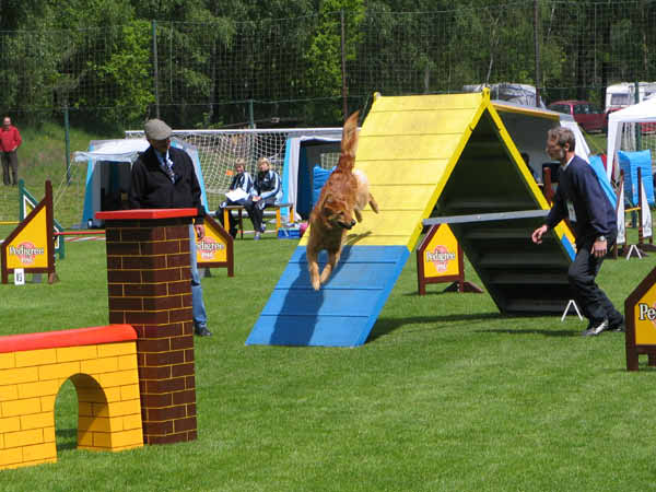 011-Aller-Leine_22_05_2004_Theo Wand 