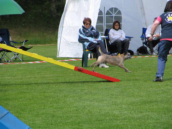 017-Aller-Leine_22_05_2004_Harry Diel 2 