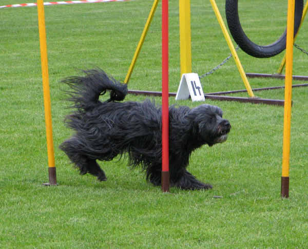 024-Aller-Leine_22_05_2004_Merle Slalom 2  Ausschnitt