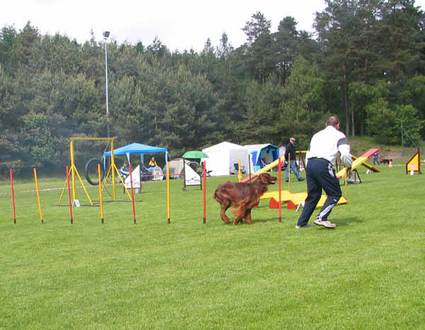 025-Aller-Leine_22_05_2004_Robby 1