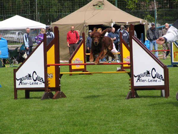 026-Aller-Leine_22_05_2004_Fliegender Setter 
