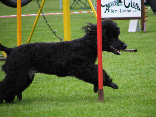 029-Aller-Leine_22_05_2004_Timmy Slalom 