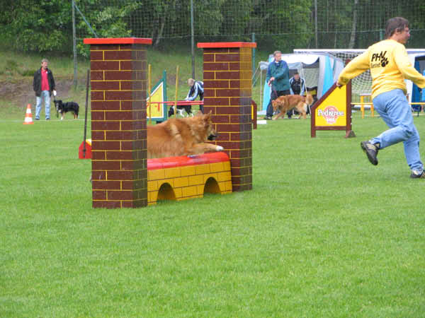 034-Aller-Leine_22_05_2004_Tomke Viadukt 