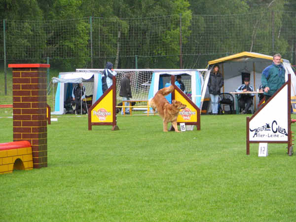 035-Aller-Leine_22_05_2004_Theo Hürde 2 