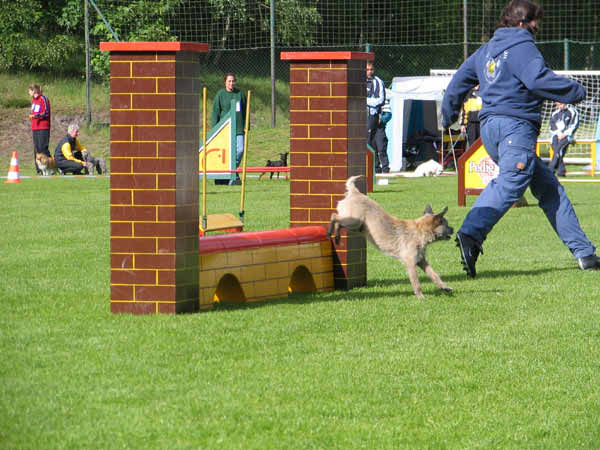 042-Aller-Leine_22_05_2004_Harry Viadukt 