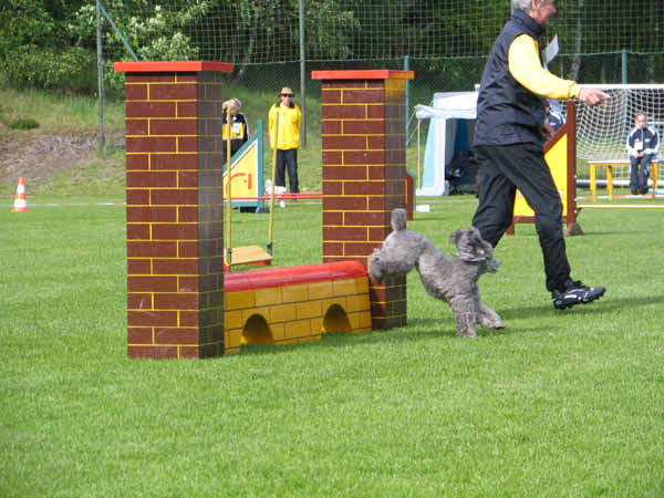 044-Aller-Leine_22_05_2004_Queny Viadukt