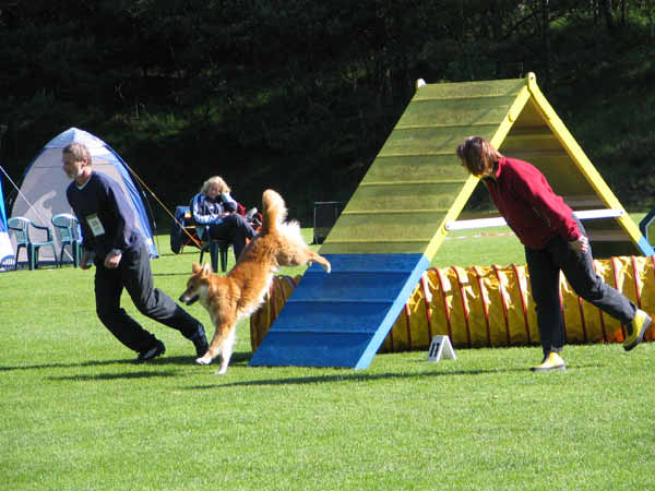 047-Aller-Leine_23_05_2004_Ginger-Peter Wand 