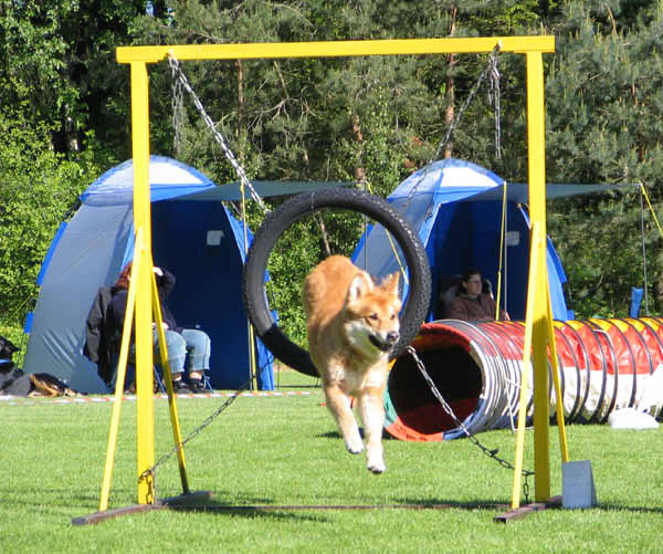 049-Aller-Leine_23_05_2004_Ginger Reifen 