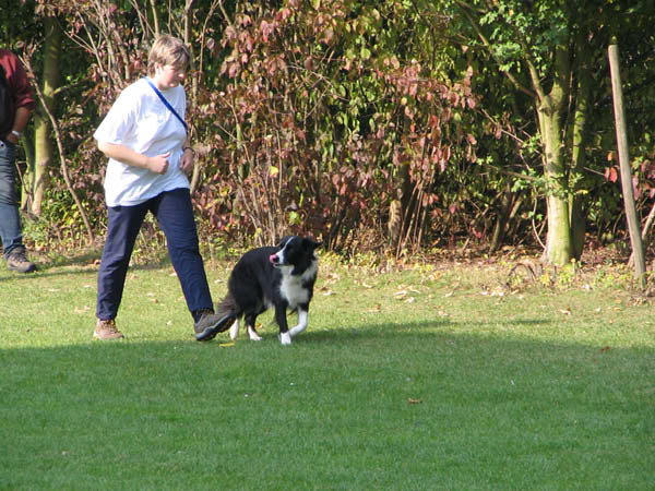 IMG_3705