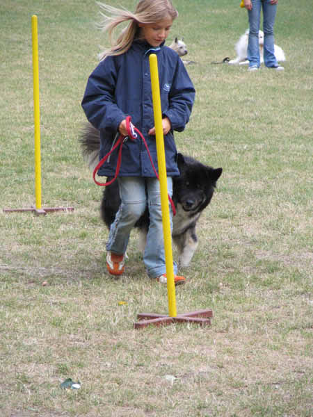 IMG_2883