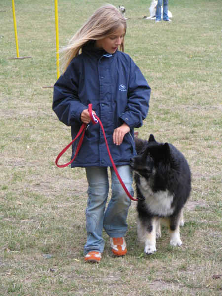 IMG_2884