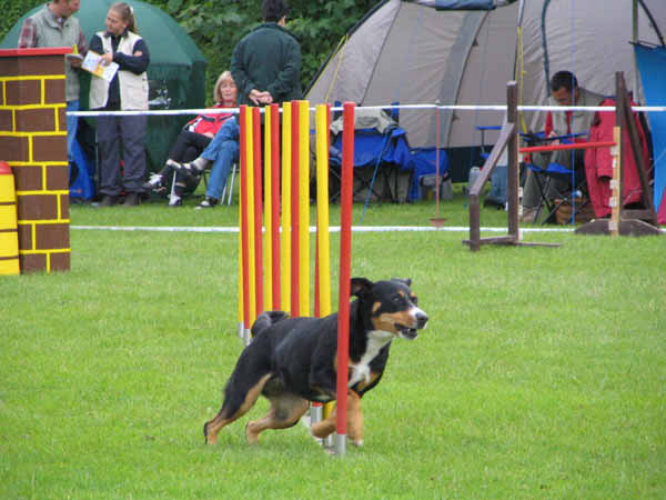 Bonny Slalom-1