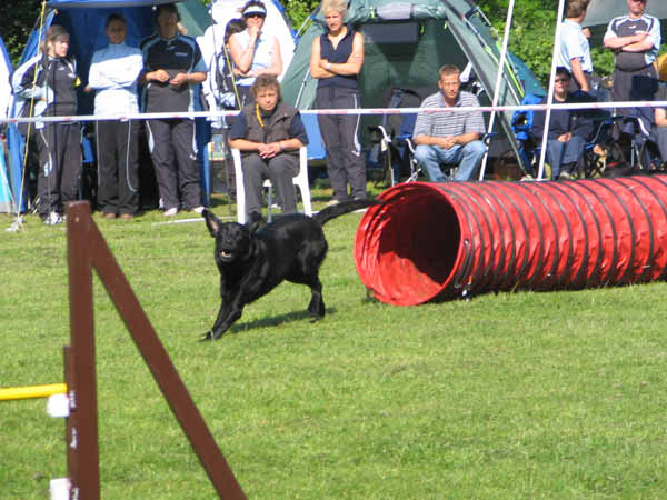 IMG_1986