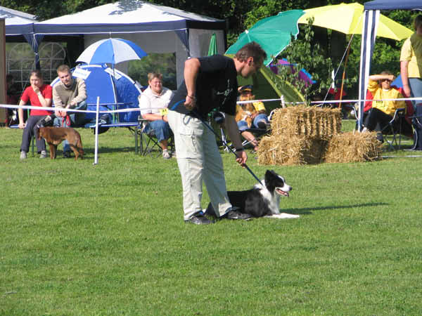 IMG_1988