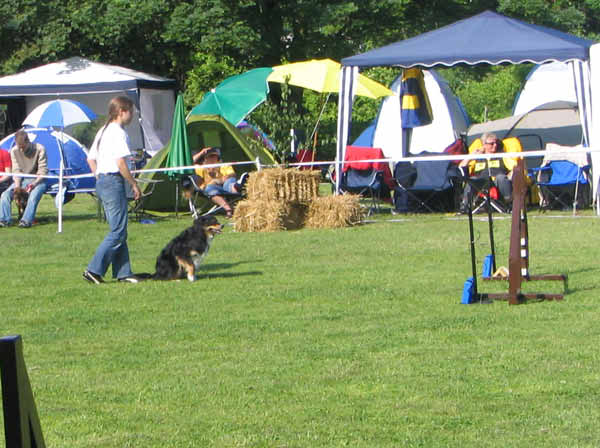 IMG_2002_bearbeitet