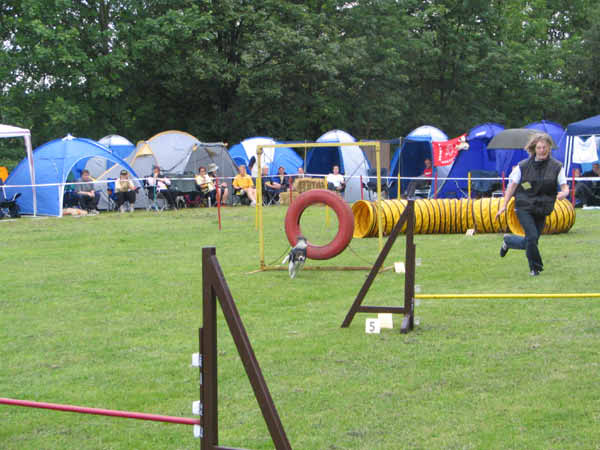 IMG_2014