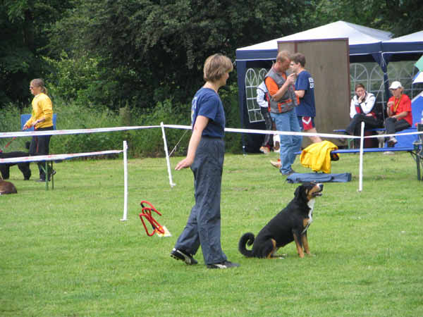 IMG_2031