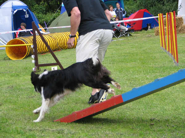 IMG_2058