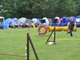 IMG_2014