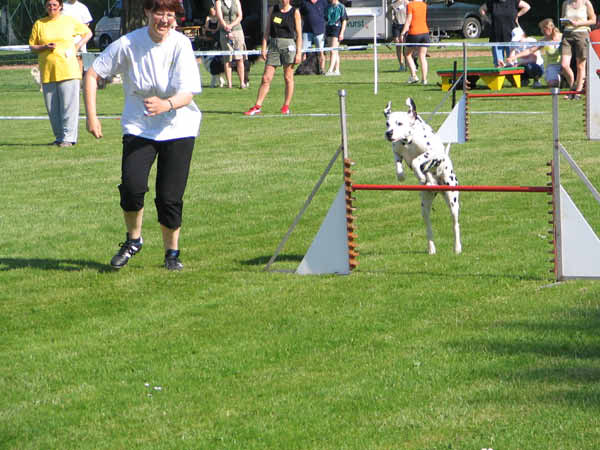IMG_1919