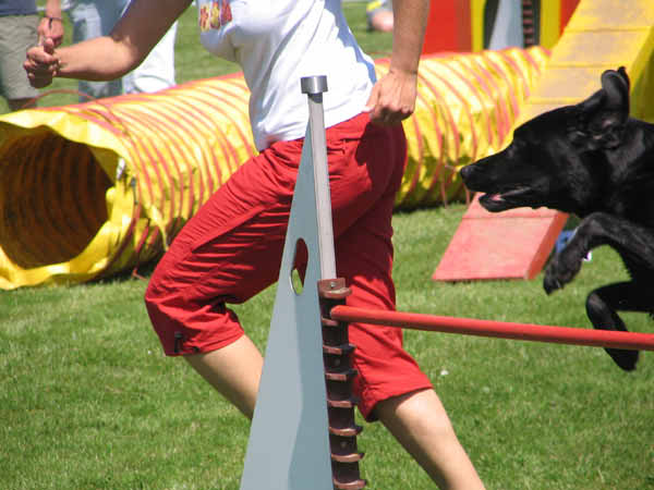 IMG_1940