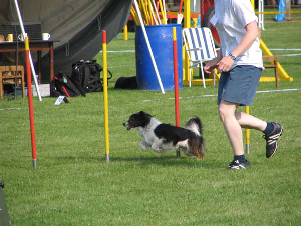 IMG_1949