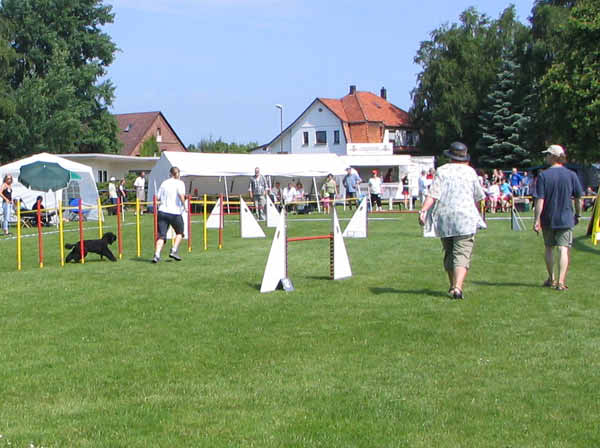 IMG_1952_bearbeitet