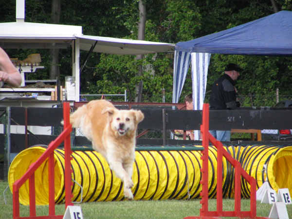 001-PHV Hannover12_06_2004_Aika Hürde