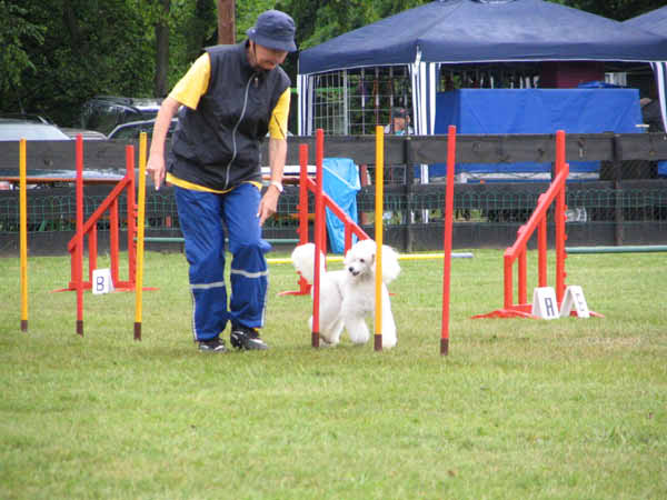022-PHV Hannover12_06_2004_Donna Slalom,Astrid