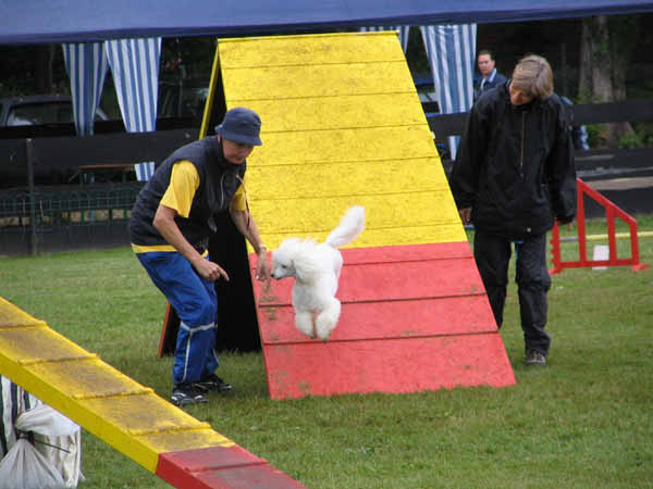 023-PHV Hannover12_06_2004_Donna Wand,Astrid