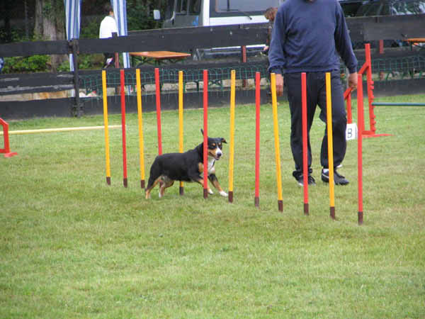 024-PHV Hannover12_06_2004_Becky Slalom