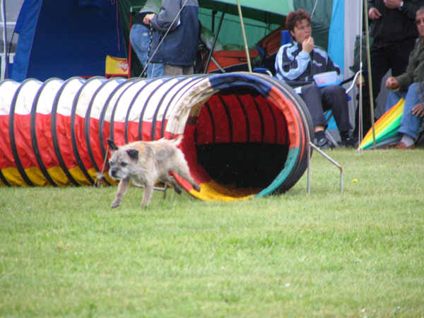 026-PHV Hannover12_06_2004_Harry Tunnel
