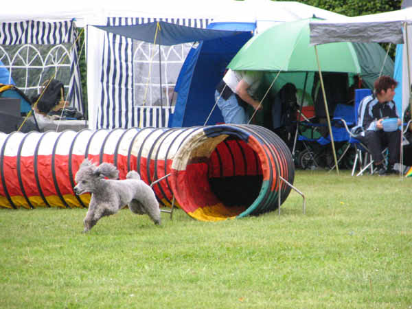 028-PHV Hannover12_06_2004_Queeny Tunnel