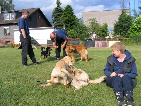 047-PHV Hannover12_06_2004_Peter,Otto,Kirsten mit Hunden