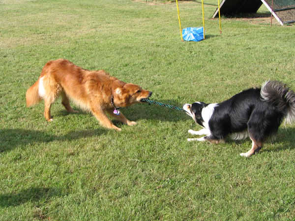 049-PHV Hannover12_06_2004_Tauziehen Cap und Theo