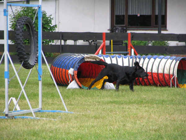060-PHV Hannover13_06_2004_Balou Tunnel