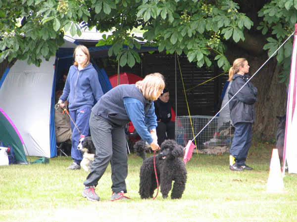 066-PHV Hannover13_06_2004_Elke und Timmy