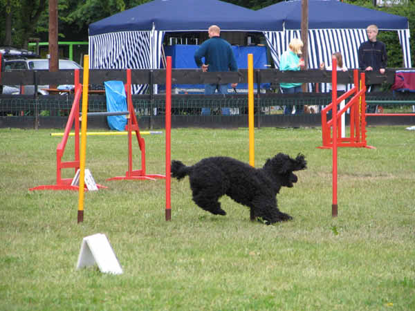 067-PHV Hannover13_06_2004_Timmy Slalom