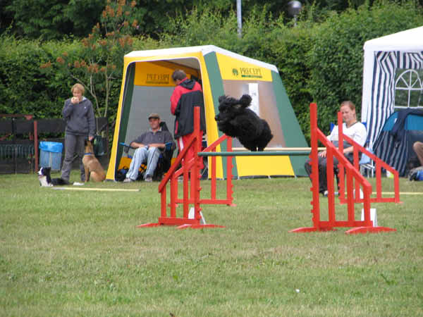 068-PHV Hannover13_06_2004_Timmy Hürde