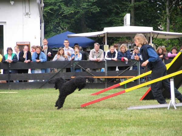 069-PHV Hannover13_06_2004_Timmy Wippe