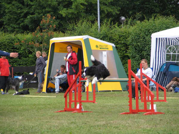 073-PHV Hannover13_06_2004_Kira Hürde