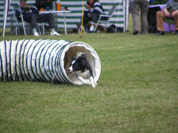 085-PHV Hannover13_06_2004_Kira Tunnel