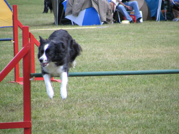 086-PHV Hannover13_06_2004_Kira Hürde-1