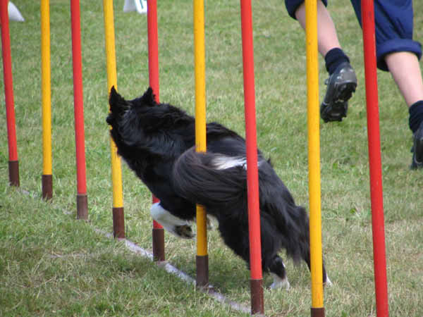 087-PHV Hannover13_06_2004_Kira Slalom