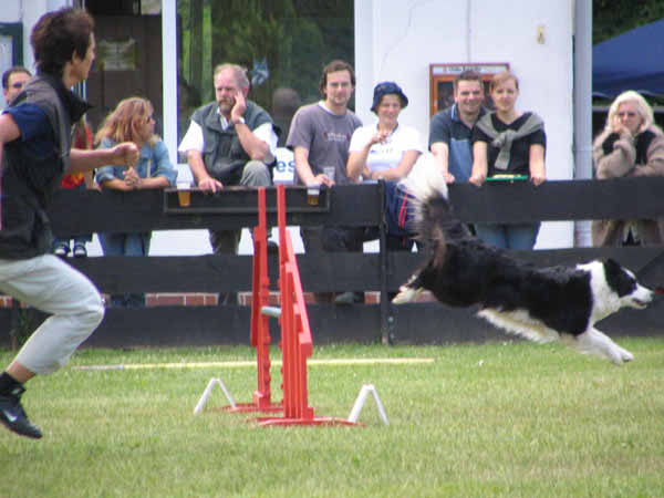 088-PHV Hannover13_06_2004_Frauke,Queenly an Hürde